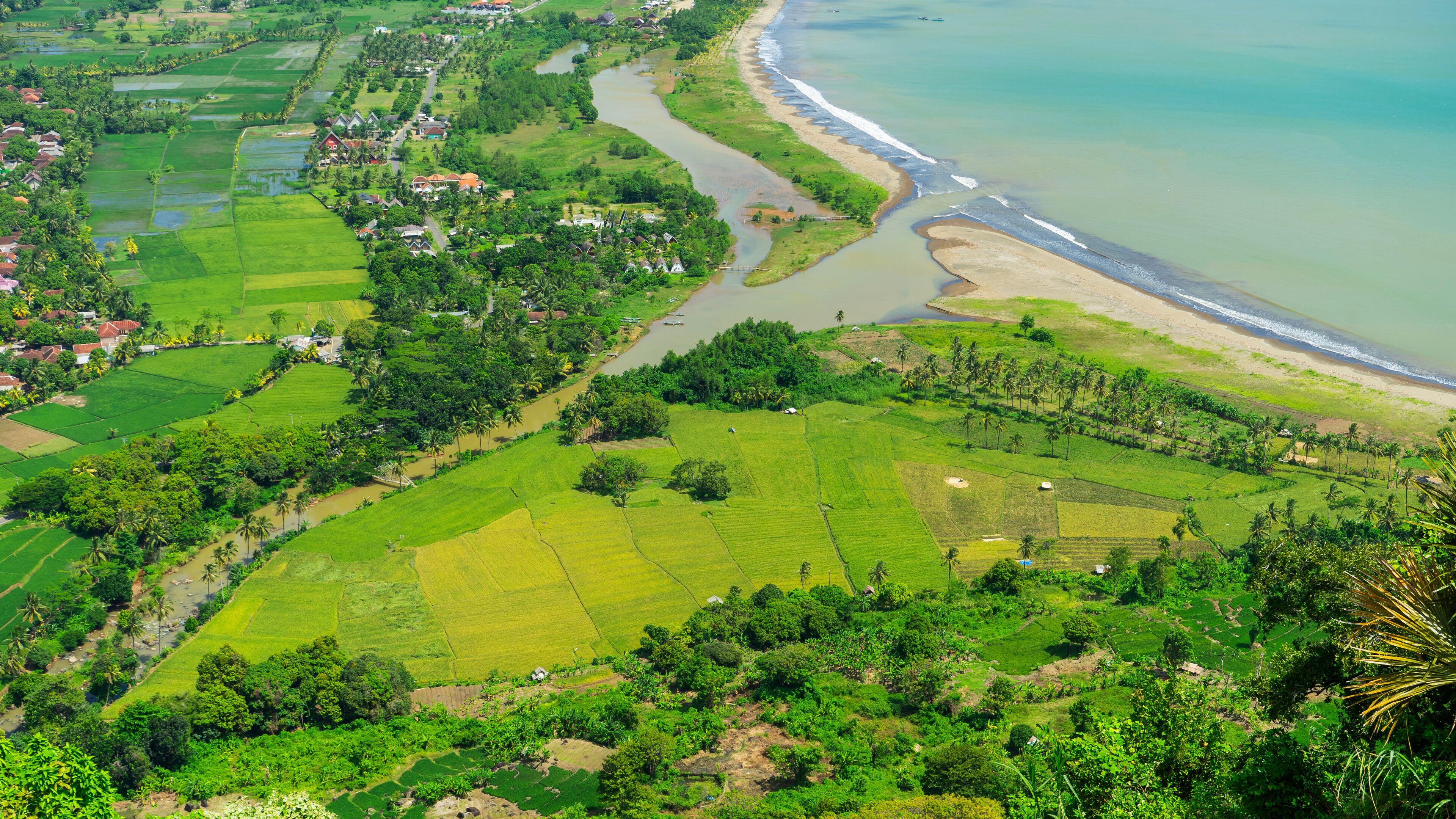 A coastal landscape with terraced fields, a river, and a beach.