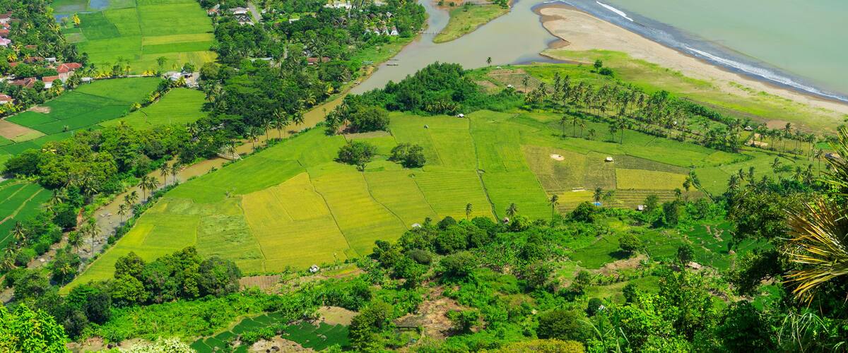 A coastal landscape with terraced fields, a river, and a beach.