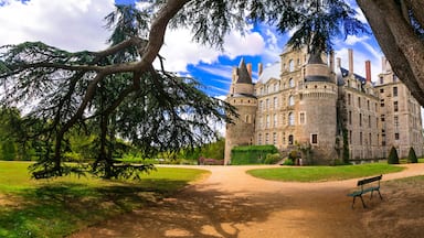 Um edifício grande e histórico com aparência de castelo, rodeado por um jardim bem cuidado e uma árvore imponente.