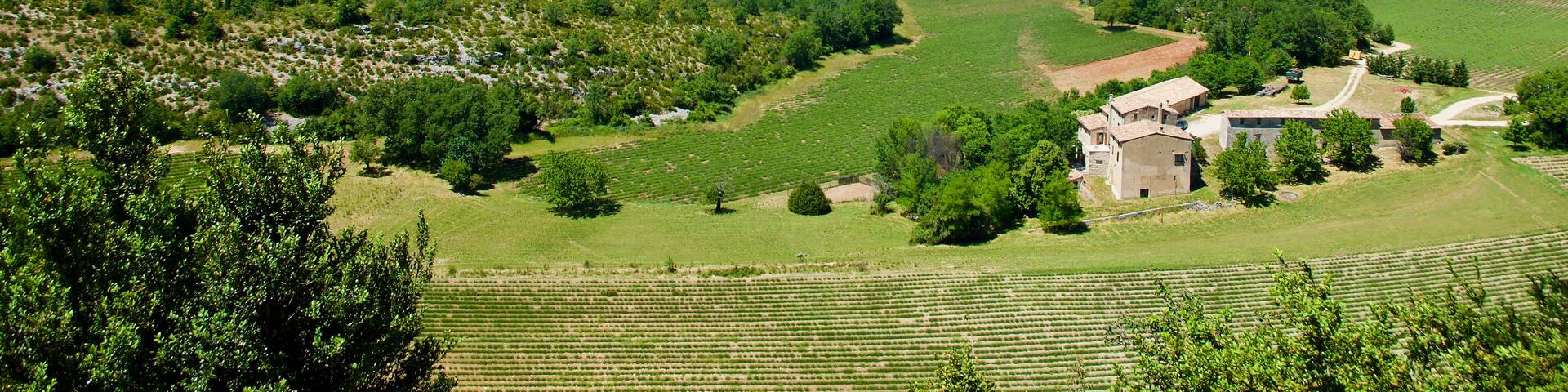 Agricultural landscape in front of Mont Ventoux in Provence in France in summer.
