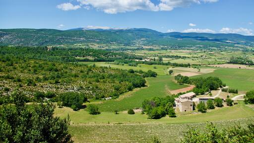 Agricultural landscape in front of Mont Ventoux in Provence in France in summer.