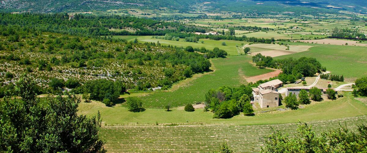 A rural landscape with rolling hills, a vineyard, and a small building.
