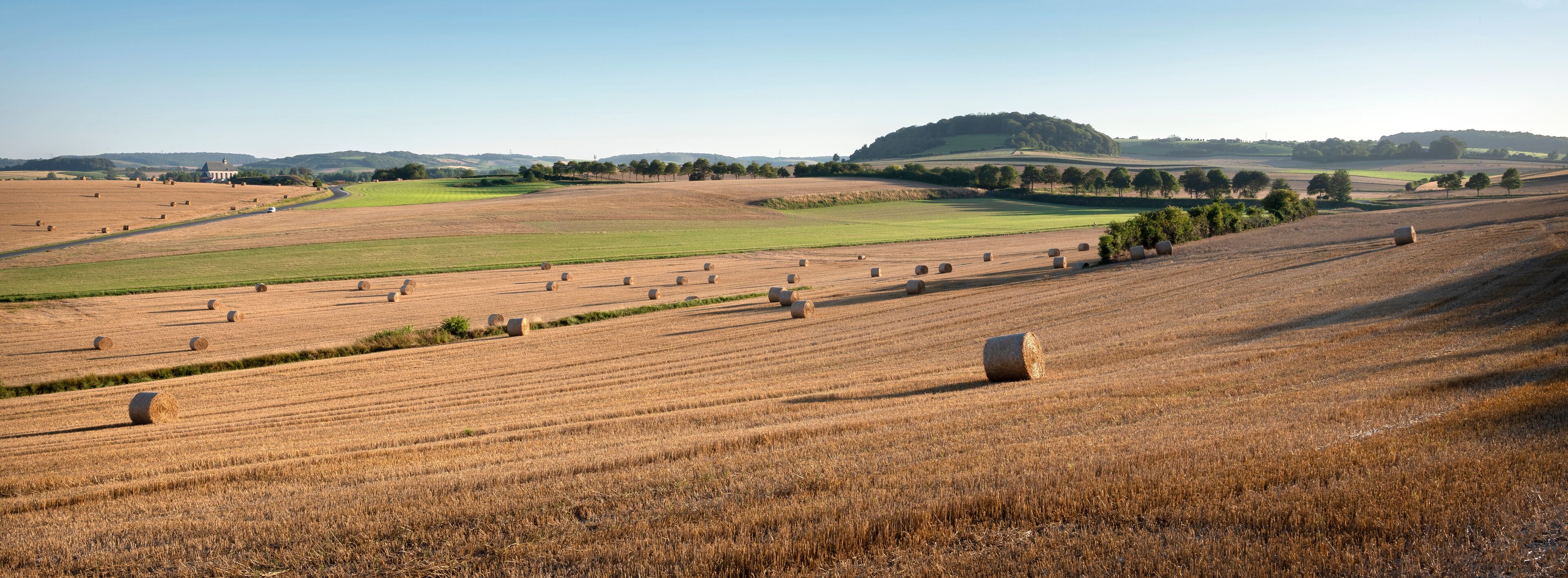landscape with cornfields and meadows in regional parc de caps et marais d'opale in the north of france