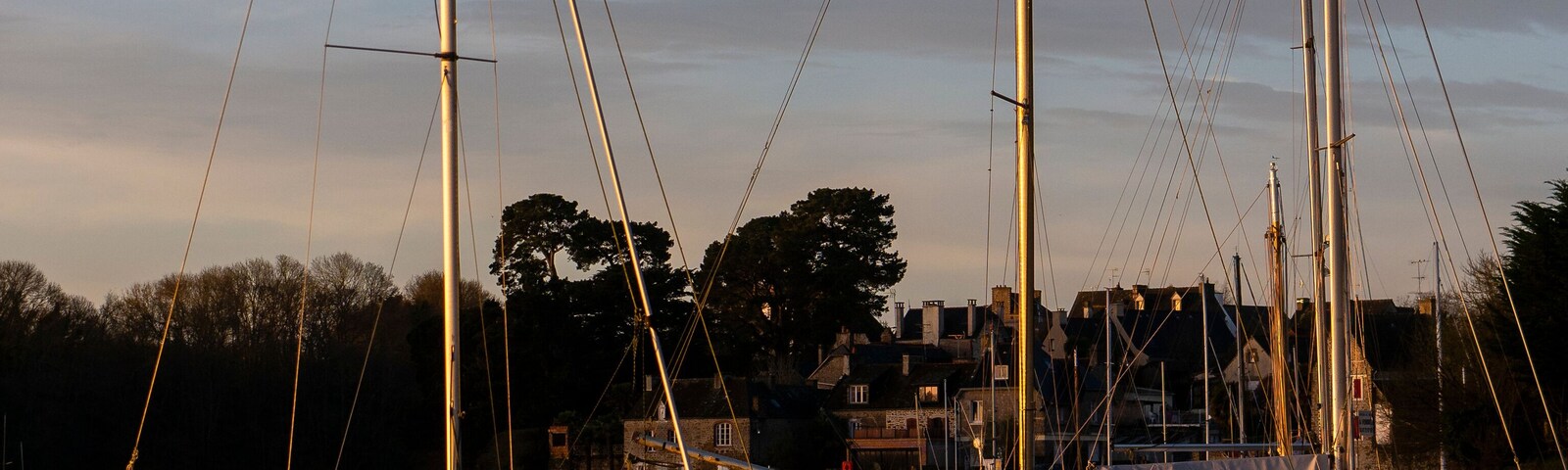 A marina with several sailboats docked.