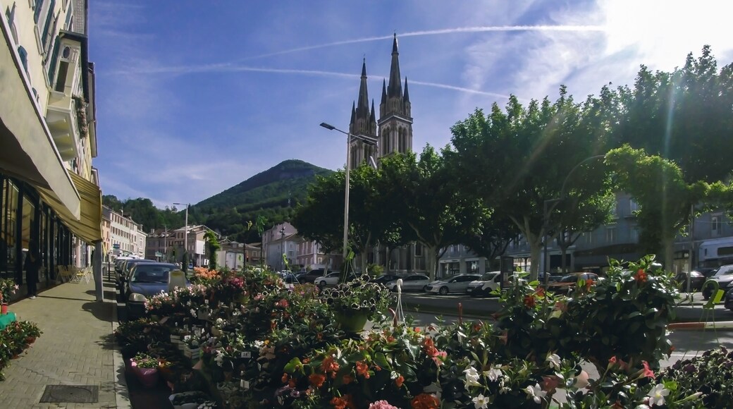 City center with a flower shop in the foreground and the Cathedral in the background. Voiron France