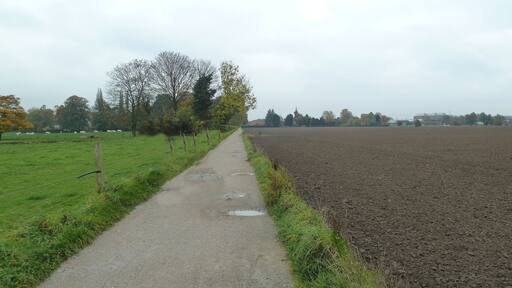 Rรฉserve naturelle rรฉgionale du Hรฉron.- Parc du Hรฉron ร Villeneuve-d'Ascq