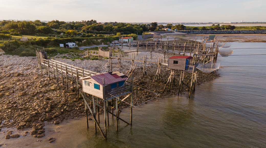 Vue aérienne plage d'Angoulins Charente Maritime France