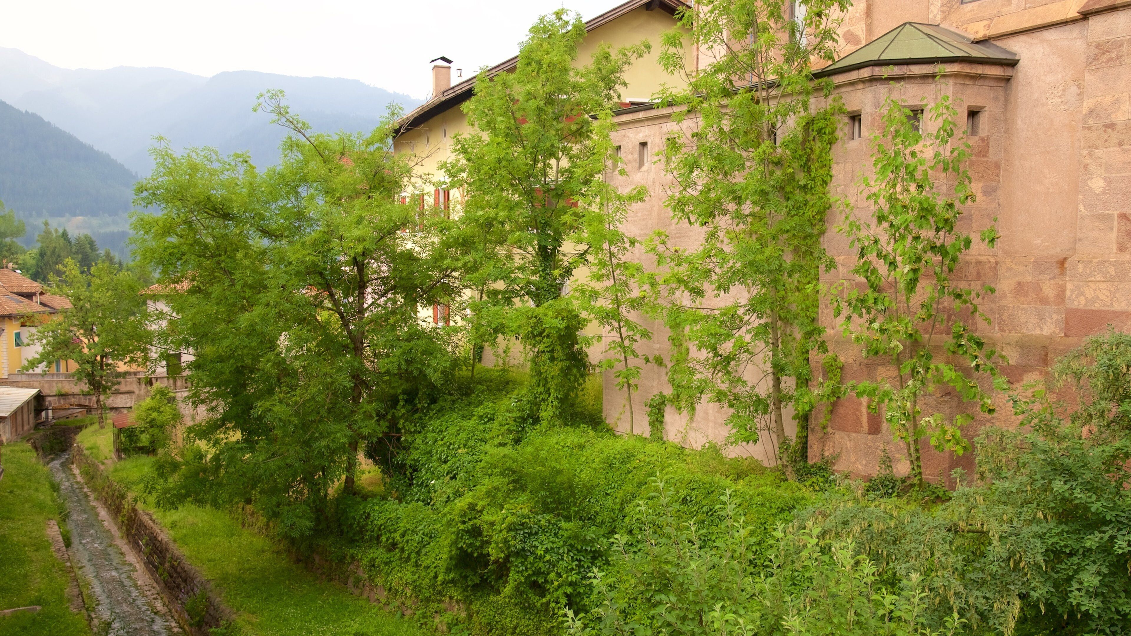 Cavalese featuring heritage architecture