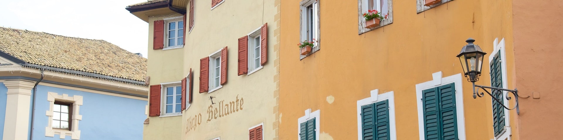 Cavalese which includes heritage architecture