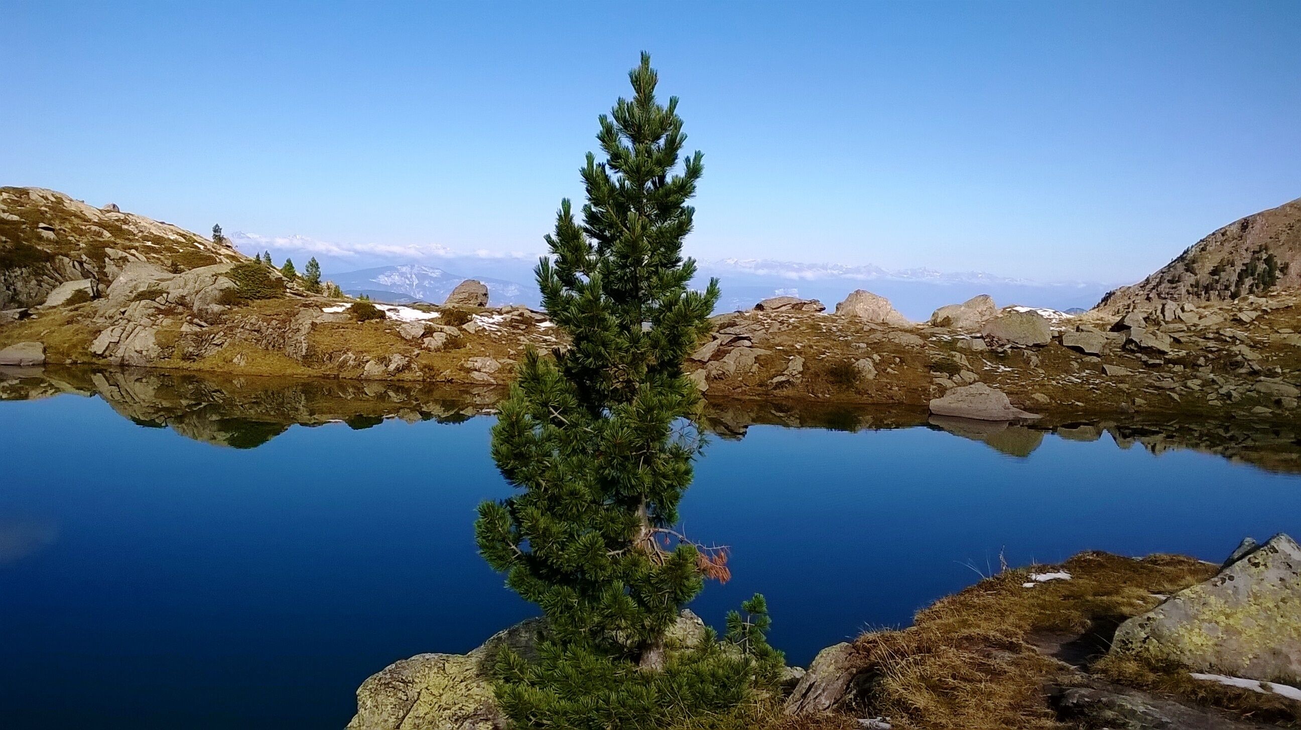 A clear mountain lake with a single evergreen tree in the foreground and snow-capped mountains in the background.