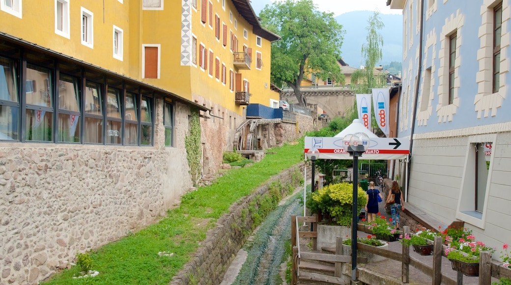 Cavalese featuring flowers and a river or creek as well as a couple