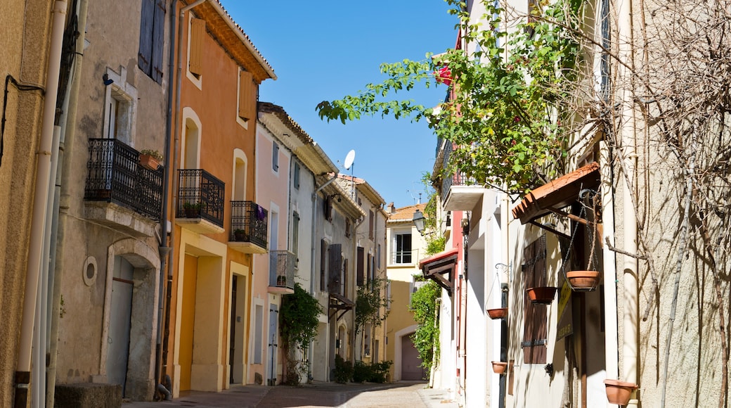 Houses in Colombiers, near Beziers, Languedoc Roussillon, France