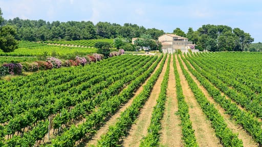 Saint-Clement-de-Riviere