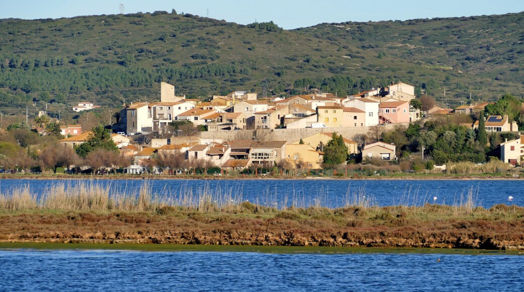 Le village de Balaruc-le-Vieux au bord de l’étang de Thau