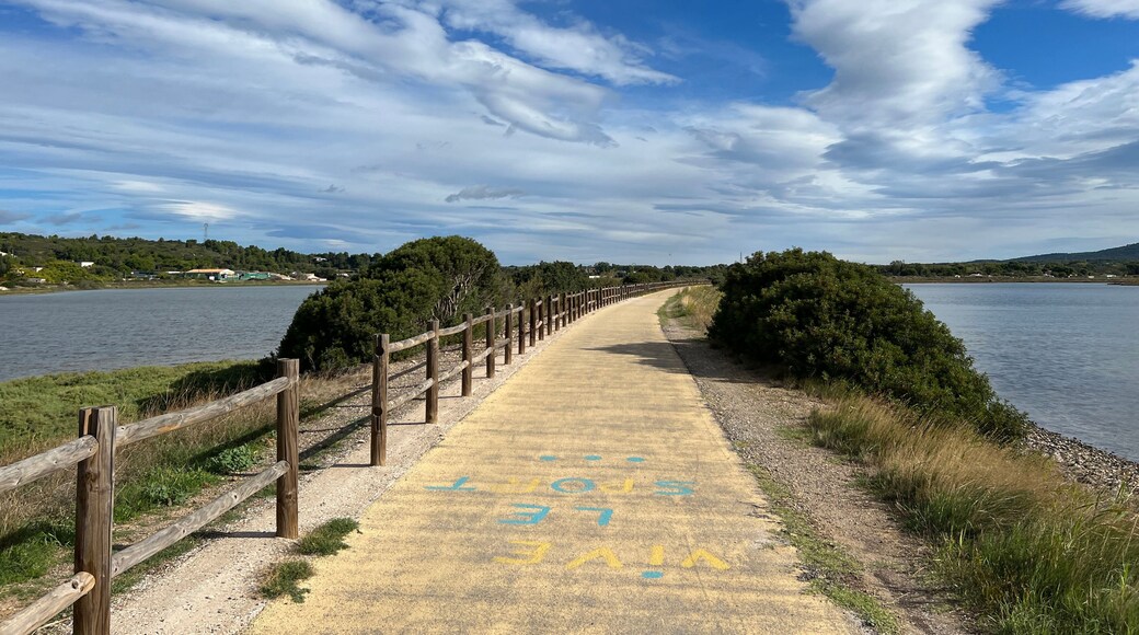 Bicycle path towards Balaruc-le-Vieux