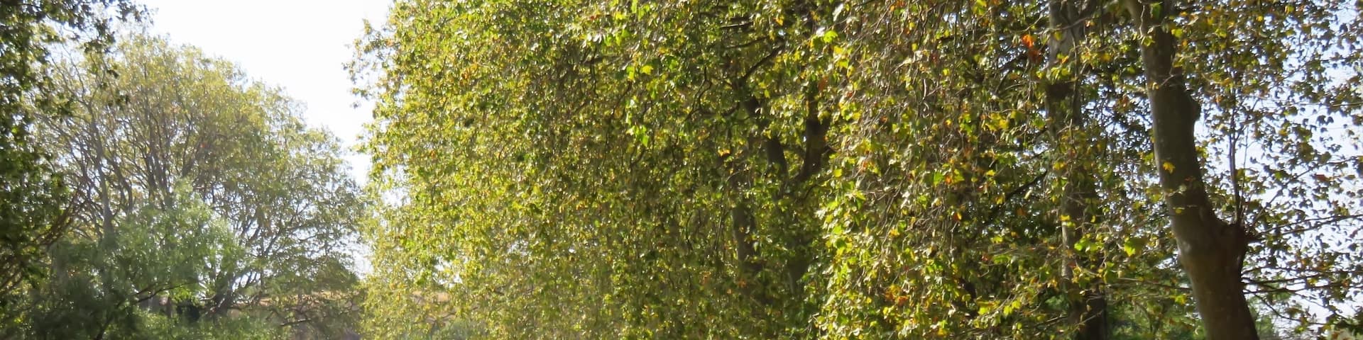 Canal du Midi, péniche amarrée (France)