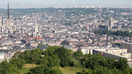 Panoramique de Rouen