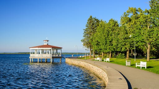 Haapsalu
