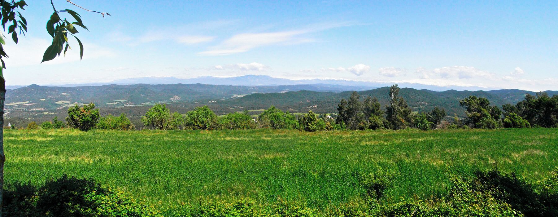 Pirineu nevat, al mes de maig, des del Bages