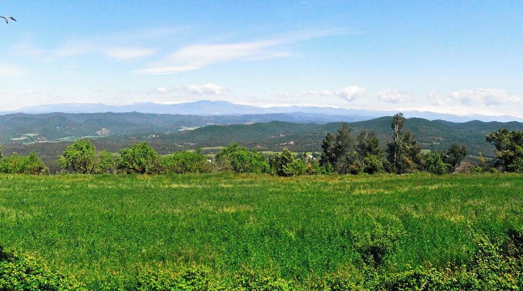Pirineu nevat, al mes de maig, des del Bages