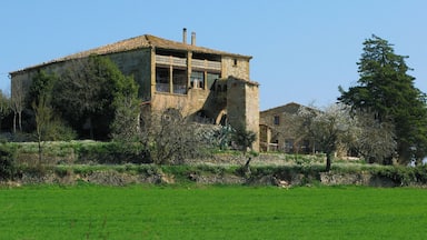 Uma casa de pedra com varanda, rodeada por vegetação e um muro de pedra.