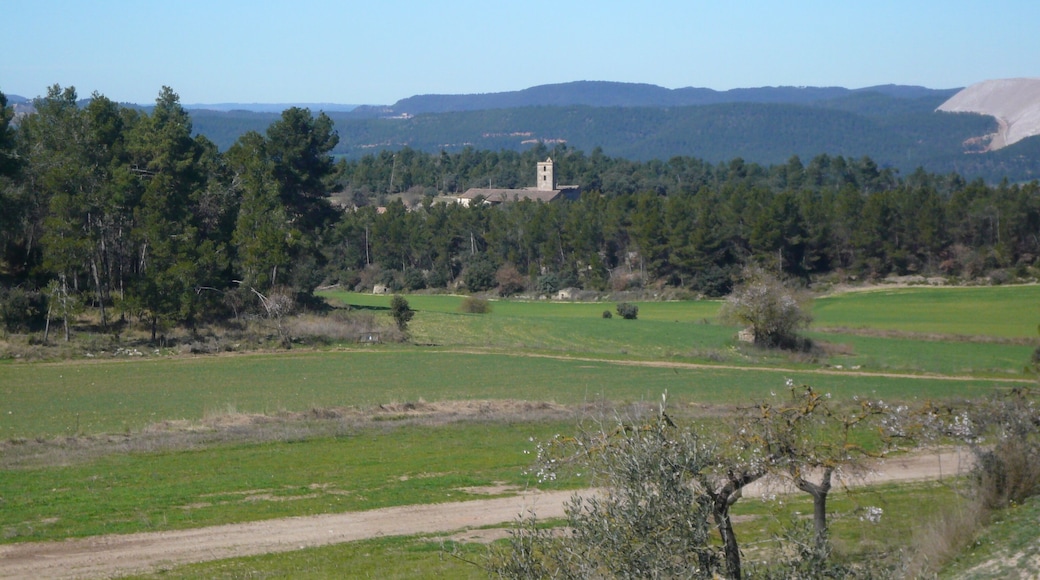 Masia les Tàpies (Calders)