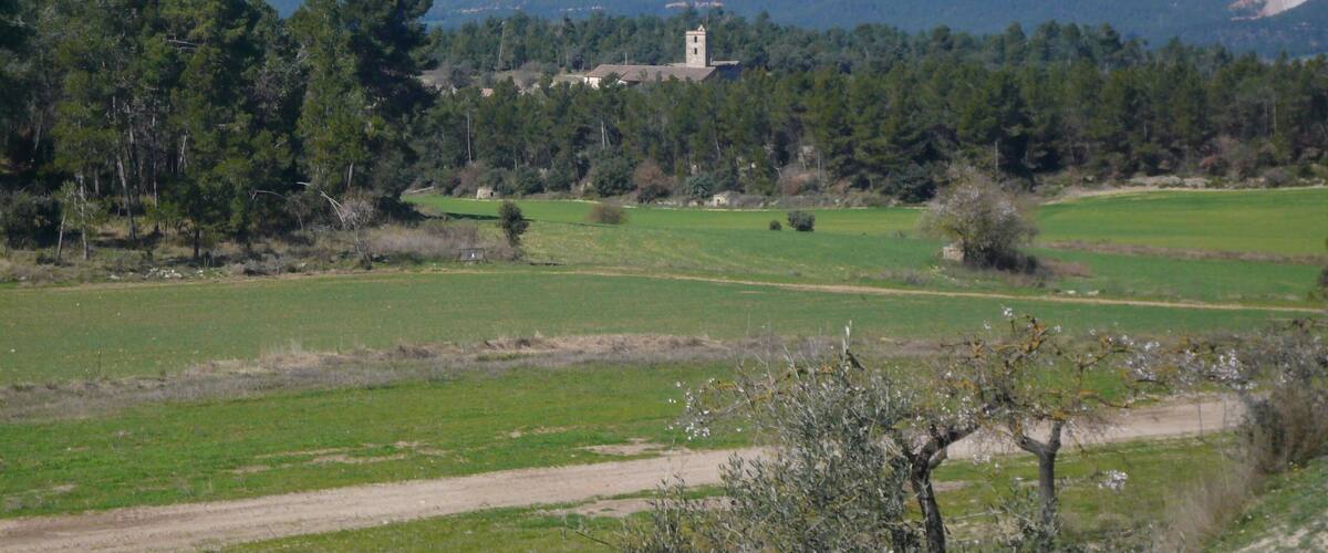 A rural landscape with a church, green fields, and forested hills.