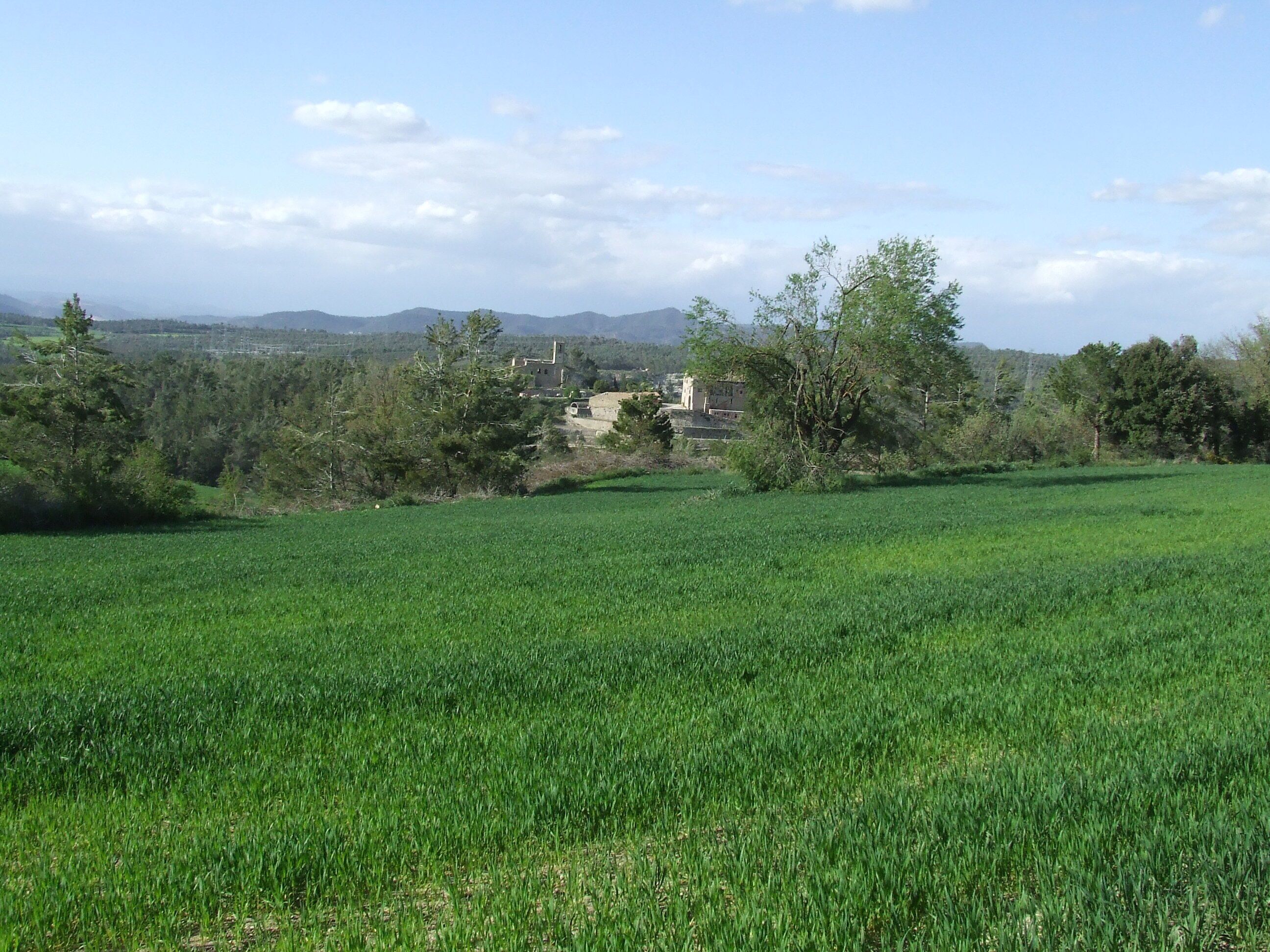 Sant Pere de Viladecavalls i el Llucià (Viladecavalls de Calders, Calders, Moianès)