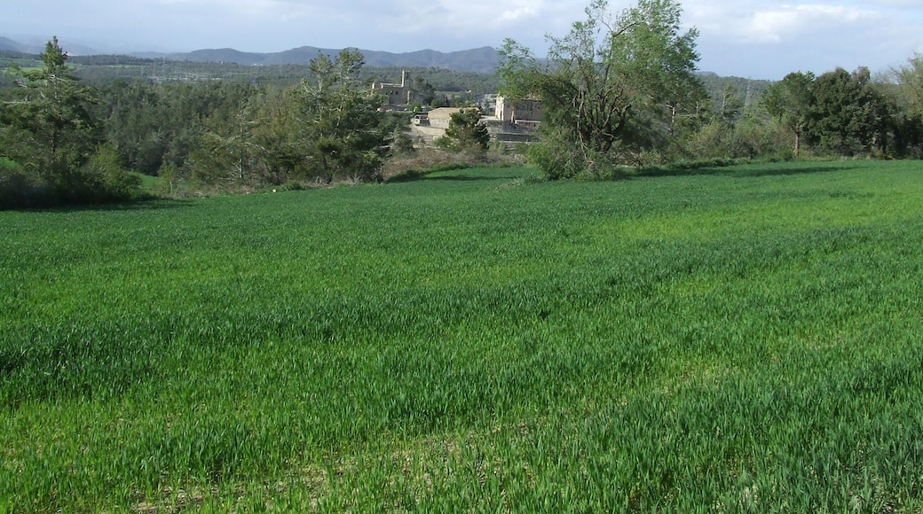 Sant Pere de Viladecavalls i el Llucià (Viladecavalls de Calders, Calders, Moianès)