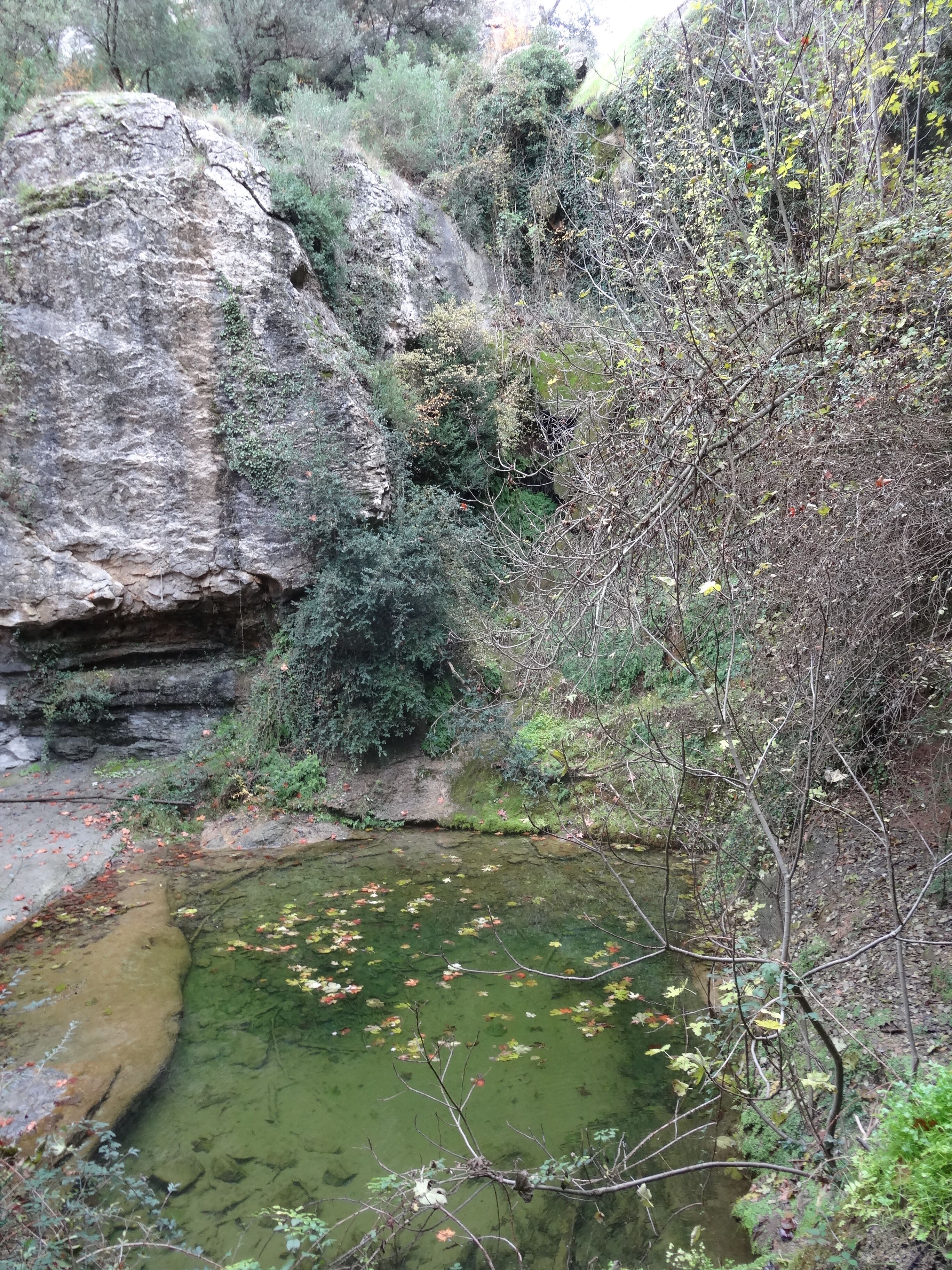 Font de les Tàpies, Calders (novembre 2012)