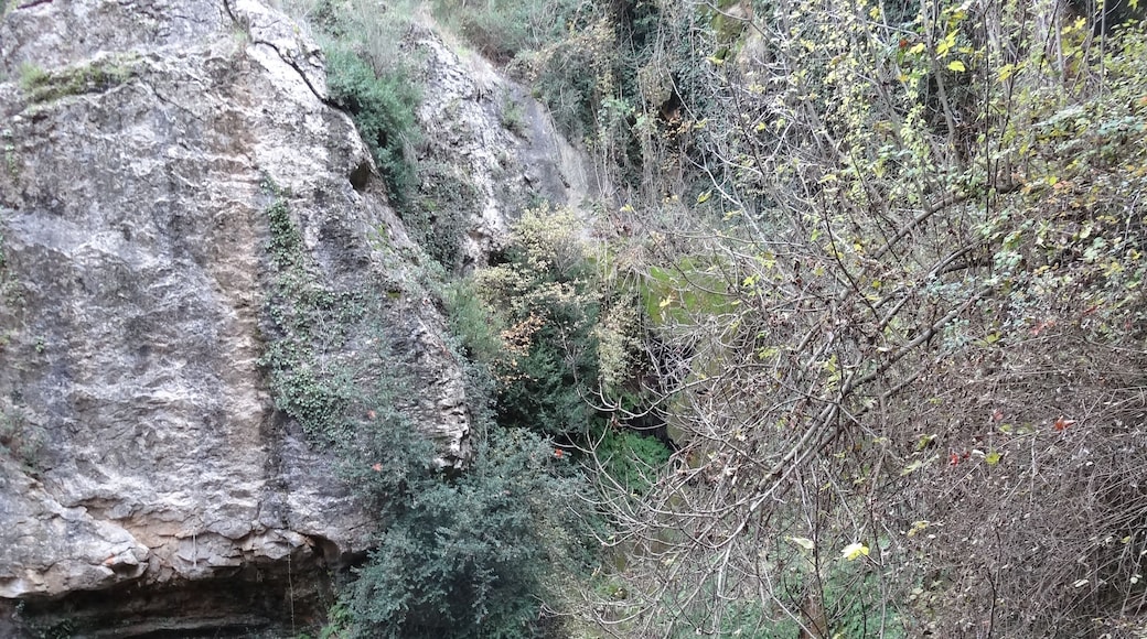 Font de les Tàpies, Calders (novembre 2012)