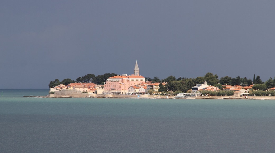 Novigrad