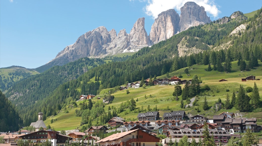Fassa Valley which includes mountains, forest scenes and a small town or village