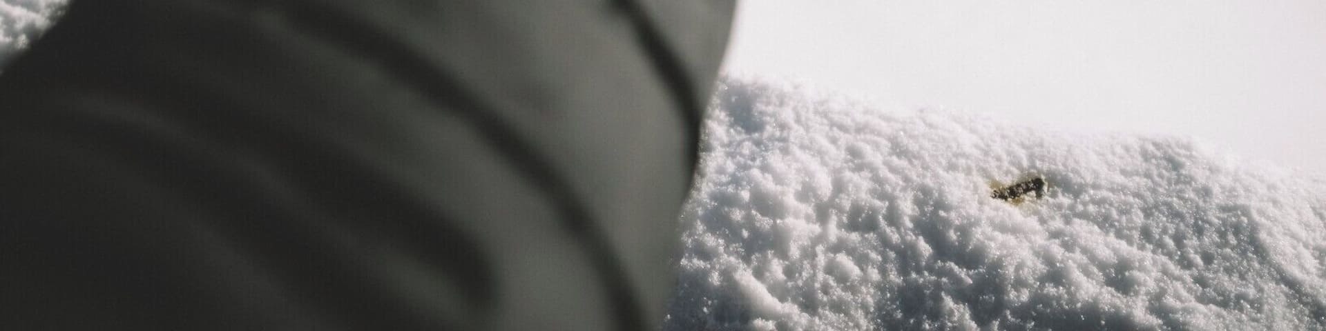 We had taken the main Val Di Fassa gondola up to the peak and saw a number of birds flying round the cafe at the top waiting for some scraps. Thought I might as well get a shot of one! #BvSApplication