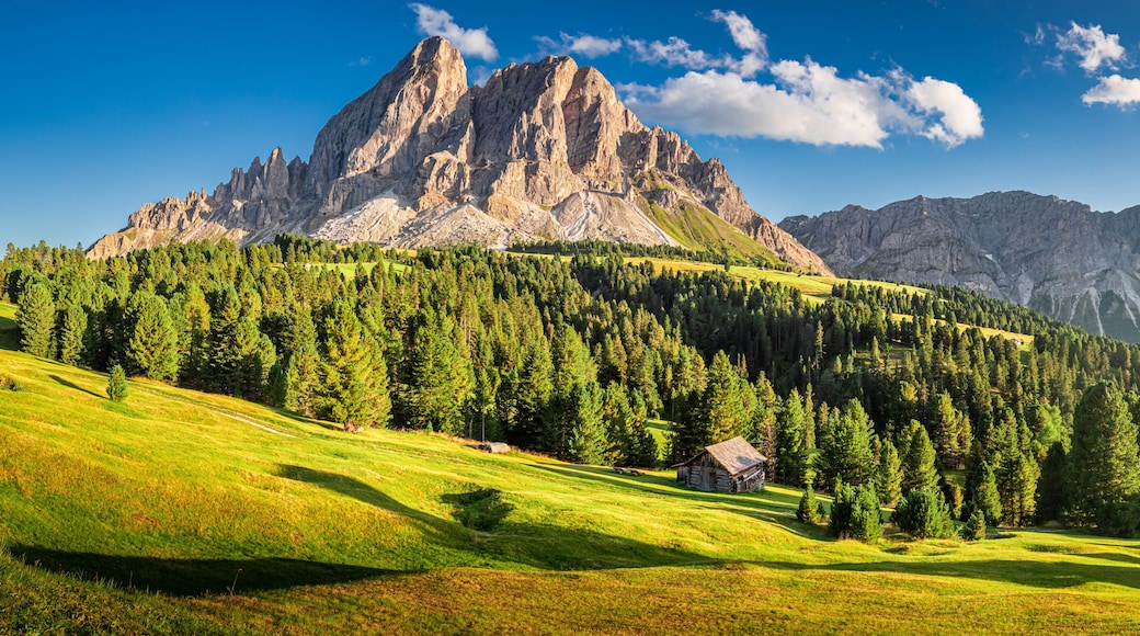 Panorama of Passo delle Erbe in Dolomites