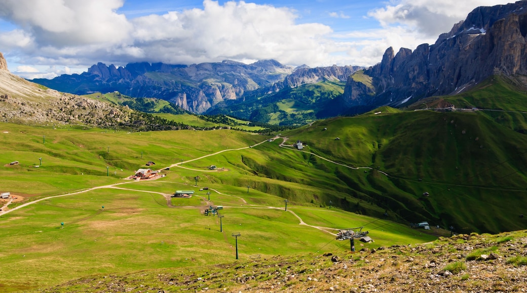 玫瑰花園拉提馬地區