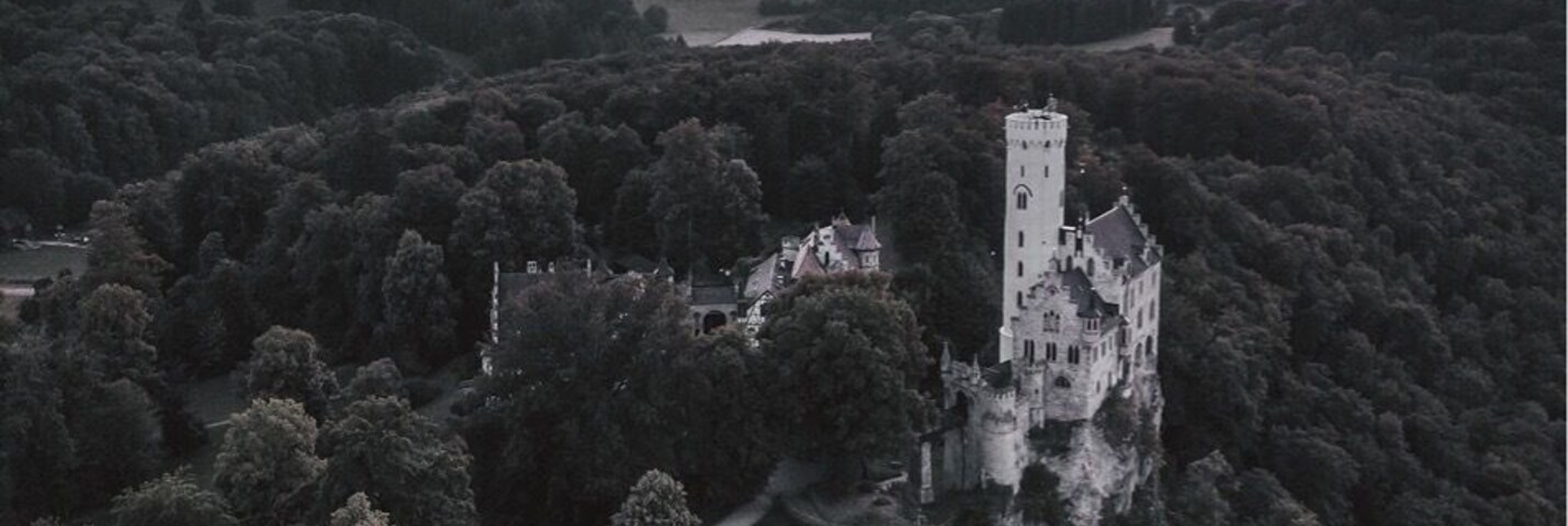 Um castelo rodeado por uma floresta densa, com um pôr do sol ao fundo.