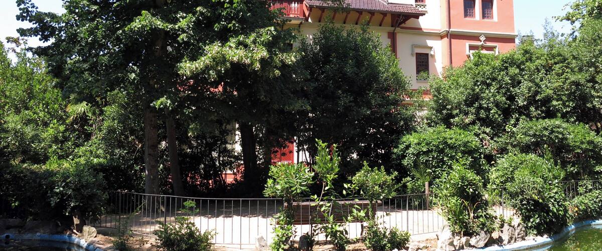 A large tree in front of a building with a red roof and white walls.