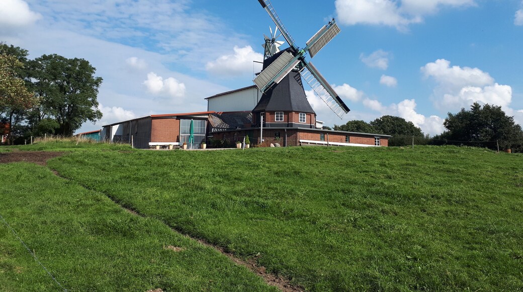 Die Götzberger Windmühle in Henstedt-Ulzburg. „Unterbauter Holländer“ oder „Kellerholländer“ mit Windrose und Jalousieflügeln.