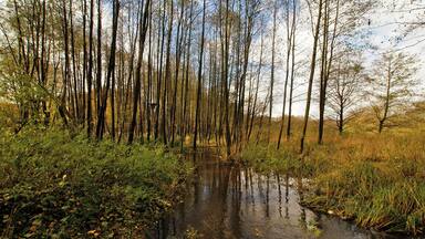 Henstedt-Ulzburg (Henstedt), Germany: The flooded Krambek