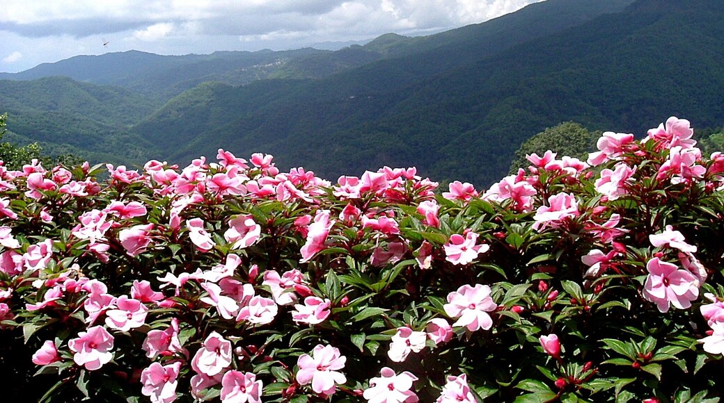 Hills near Laos border in Mekong valley
