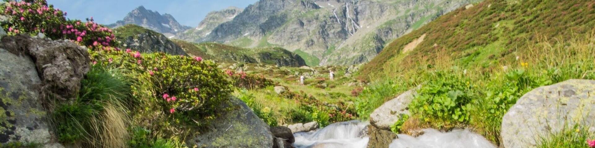 Had to stop for this beautiful creek on my way to Italy. It´s only a quick hike from the road.
#TakeAHike