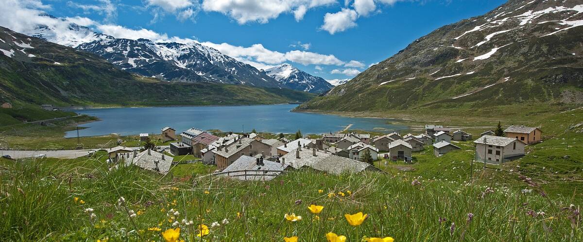 Madesimo mostrando una pequeña ciudad o pueblo, flores y montañas