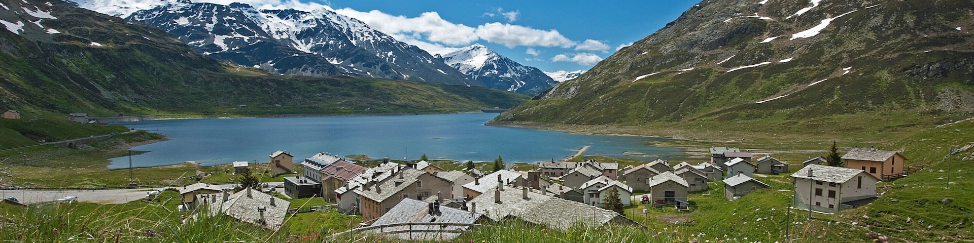 Madesimo ofreciendo una pequeña ciudad o aldea, flores y montañas
