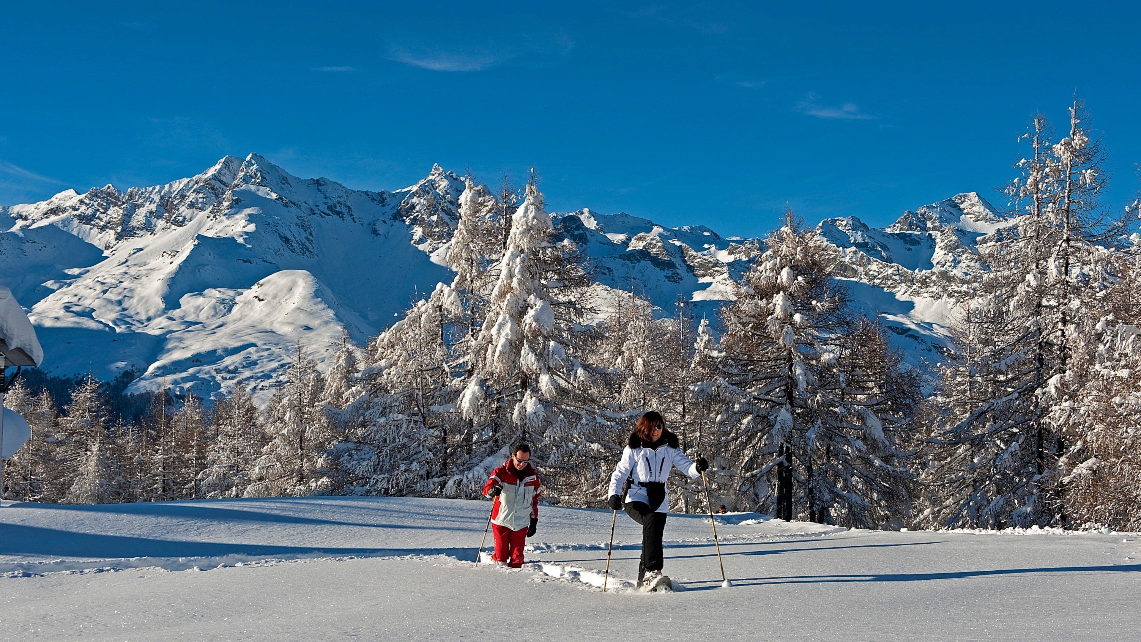 Eine verschneite Berglandschaft mit zwei Skifahrern und schneebedeckten Bäumen.
