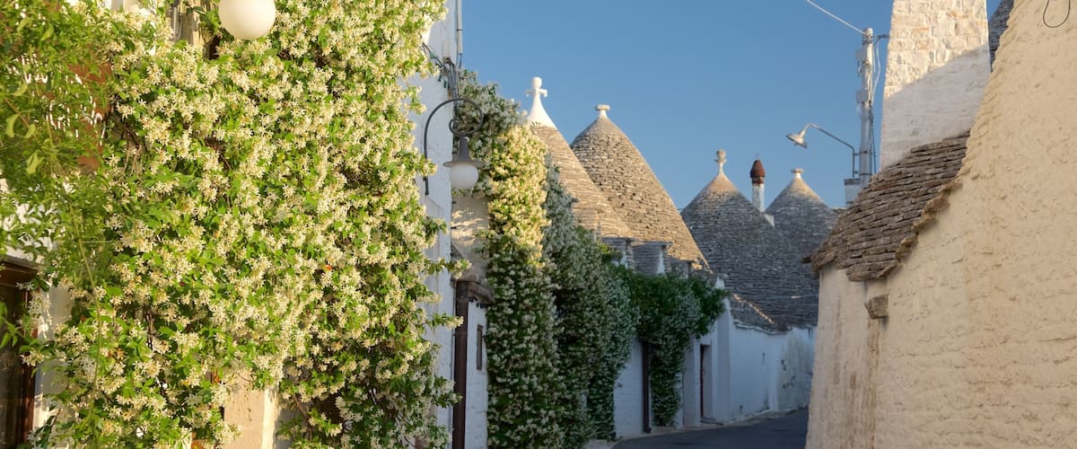 Alberobello mostrando flores e um pôr do sol