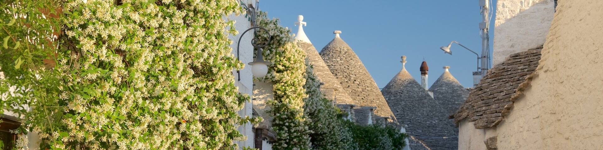 Alberobello mit einem Blumen und Sonnenuntergang
