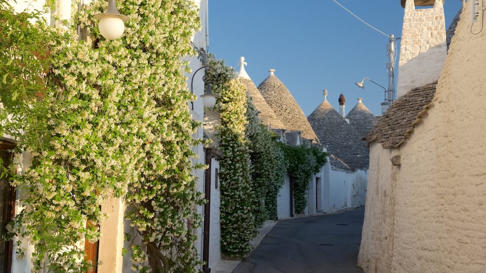 A narrow street with white buildings, a tree with white flowers, and stone-roofed houses.