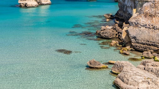 Roca Vecchia
