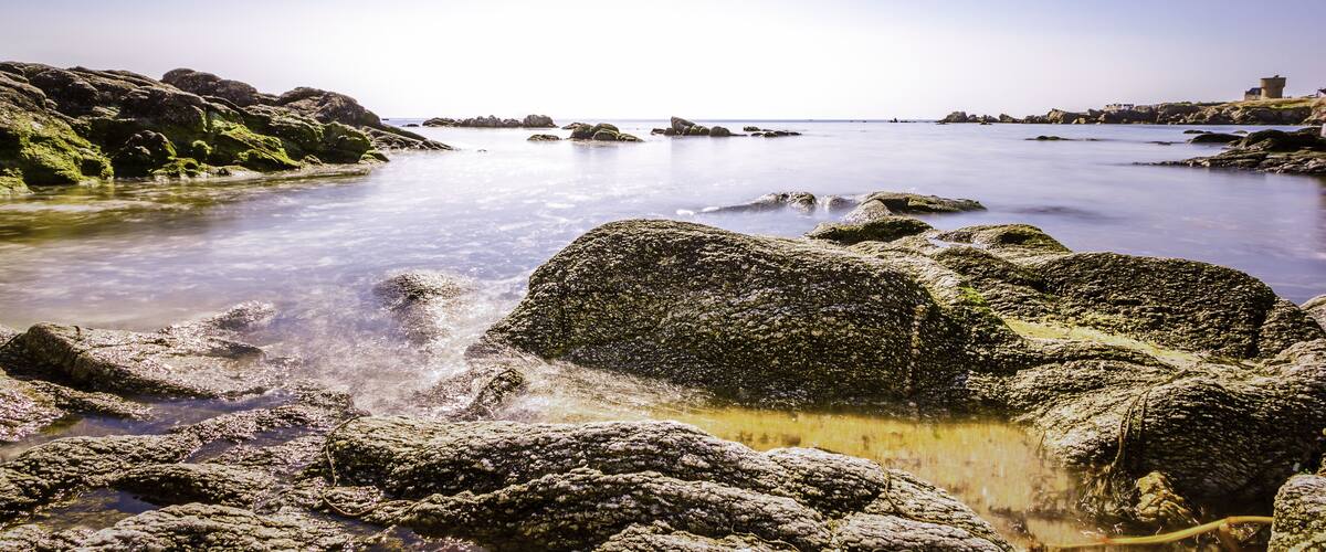A rocky shoreline with clear water and distant buildings.